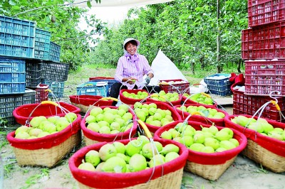 戈壁荒原闯出绿色发展路——新疆兵团汇聚高质量发展澎湃动力